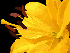 Digital Painting of a flower