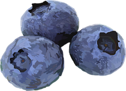 Digital Painting of Bluebarrys